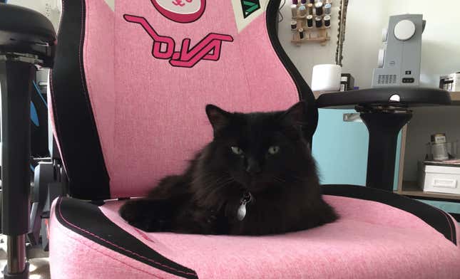 Image for article titled I Asked Cat Behavior Experts Why My Cat Is Obsessed With My Ridiculous Gamer Chair