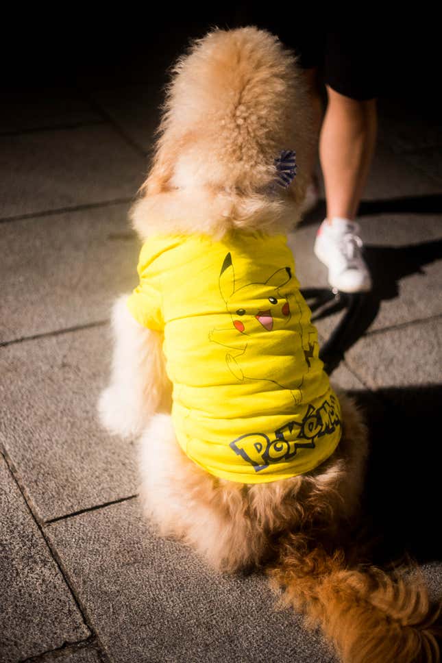Image for article titled In Photos: 2,000 Dancing Pikachus (And Their Fans) Take Over Yokohama, Japan