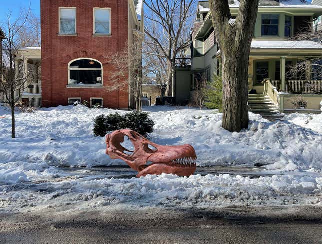 Image for article titled Chicago Field Museum Director Uses Titanosaur Skull To Hold Parking Space In Snow