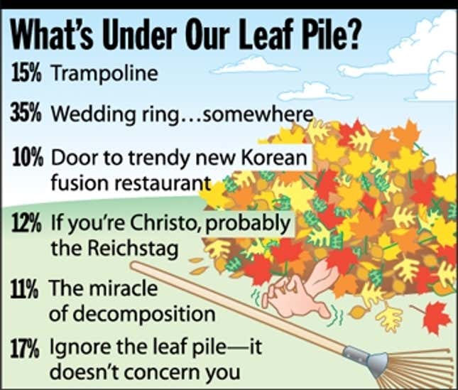 Image for article titled What&#39;s Under Our Leaf Pile?