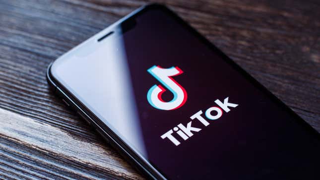 Image for article titled How to Prevent Hacks Like the TikTok Breach
