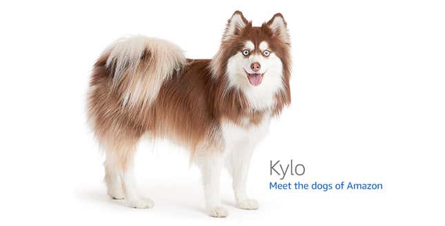 Image for article titled Amazon's Error Dogs, Ranked