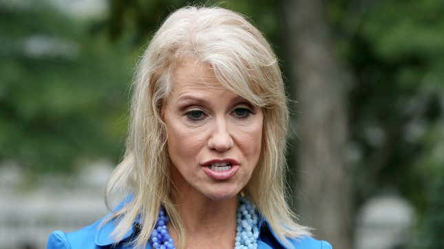 Image for article titled Kellyanne Conway Suggests Martin Luther King Jr. Would Have Traveled To Ukraine For Dirt On Biden