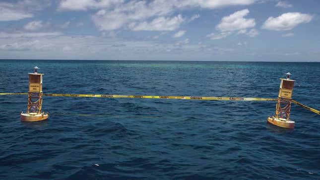Image for article titled Pacific Ocean Quarantined After Contact With Carnival Cruise Ship
