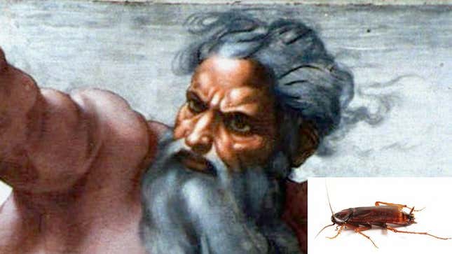 God said that when He thinks of how far cockroaches have come, He swells with pride.