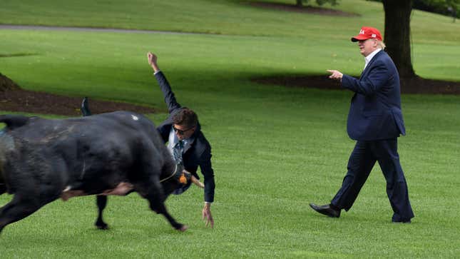 Image for article titled Heroic Secret Service Agent Takes Bull Intended For President