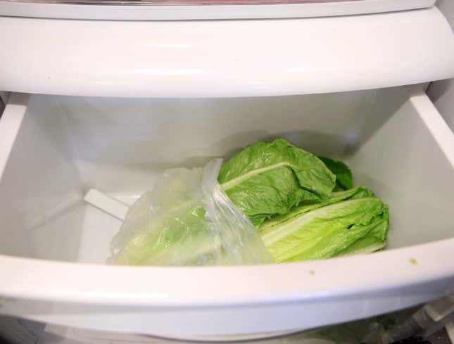 Image for article titled Lettuce Sentenced To Slow, Painful Death In Vegetable Crisper Drawer