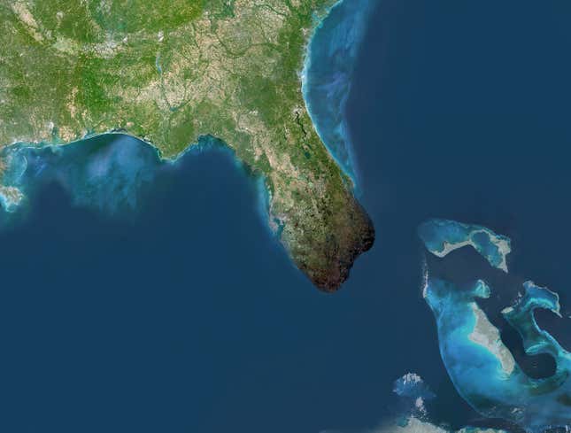 Image for article titled Fireworks Accident Blows Off Tip Of Florida