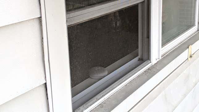 Image for article titled Neglected Google Home Sits By Window Barking At Passersby