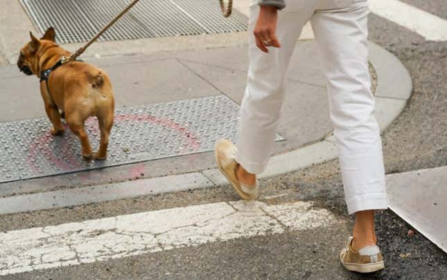 Imagen para el artículo titulado Cómo saber si hace demasiado calor para sacar a pasear a tu perro