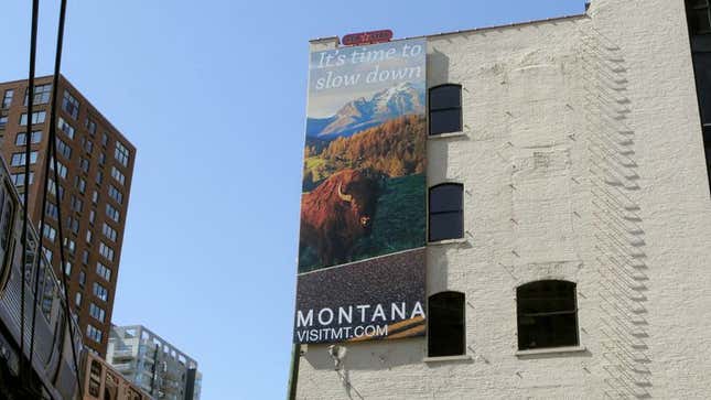 Image for article titled New Montana Tourism Campaign Marketed Toward Urban Bison