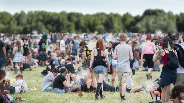 Wristbands allow festivalgoers to return to the empty field after a trip to the parking lot to retrieve more MDMA, mephedrone, 2-DPMP, Benzo Fury, Adderall, or synthetic cannabinoids.