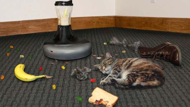 Image for article titled New Roomba Blender Makes Smoothie Out Of Everything In Its Path