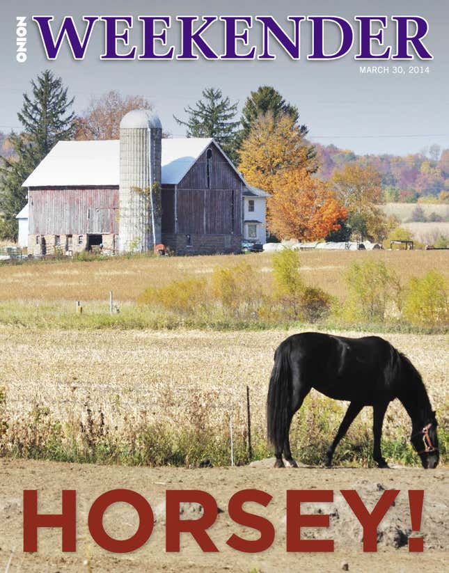 Image for article titled Horsey!