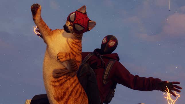 Image for article titled Just Some Pictures, Pictures of Spider-Man (the Cat)