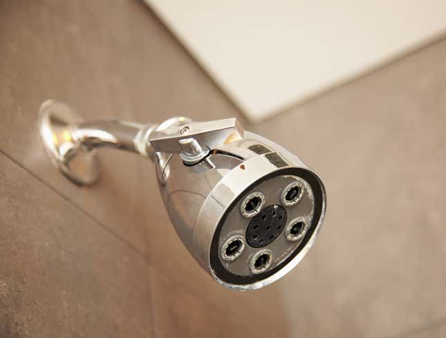 Image for article titled Shower Head Snarls Like Vicious Jungle Cat Before Turning On
