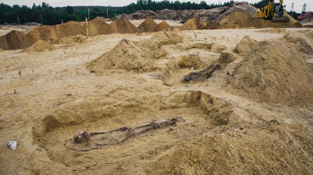 Some of the graves uncovered at the site in southeastern Poland. 