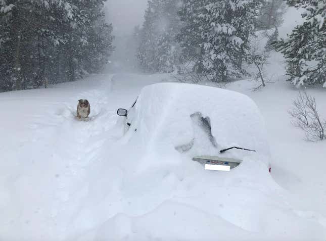 Image for article titled A Tesla Engineer's Jeep Ended Up Under 10 Feet of Snow for Months and It's Still There