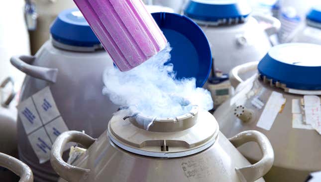 Image for article titled The Pros And Cons Of Freezing Your Eggs