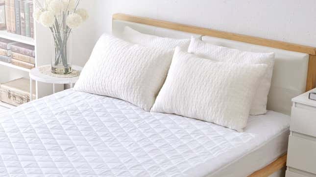 CertiPUR Shredded Memory Foam Pillow | $20 | Amazon | Promo code KINJAFZ8