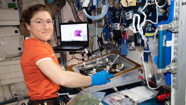 Christina Koch on the ISS. 