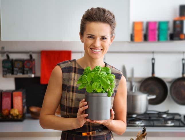 Image for article titled Single Woman Would Love To Hear Them Call Her Lonely Now That She Has Basil Plant