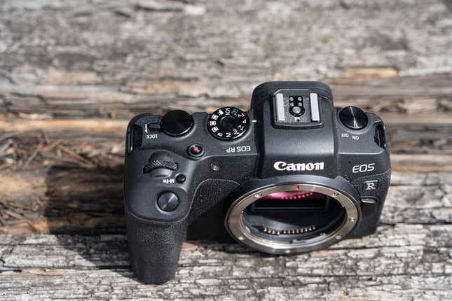 Image for article titled I Pitted Canon's 'Affordable' EOS RP Against My Beloved Sony A7 III