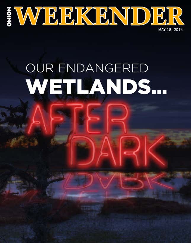 Image for article titled Our Endangered Wetlands... After Dark