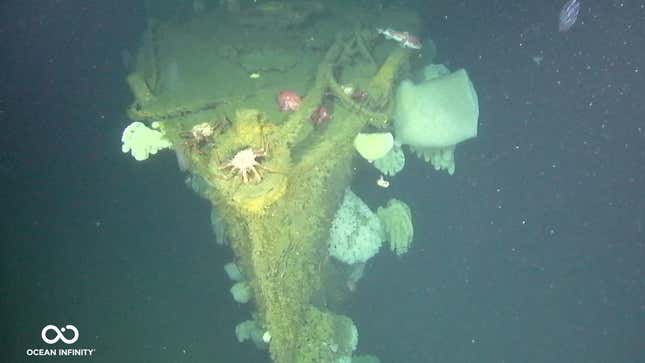 A photo of the bow of a ship that sunk in the Pacific. 