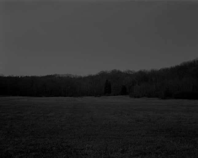 Untitled #9 (The Field)