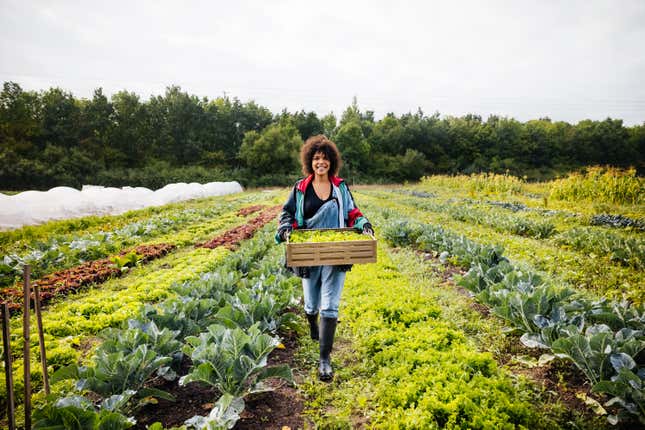 Image for article titled Black Farmers Have Faced Decades of Discrimination, But Now There&#39;s Help