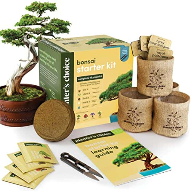 Image for article titled Bonsai Starter Kit, Now 20% Off