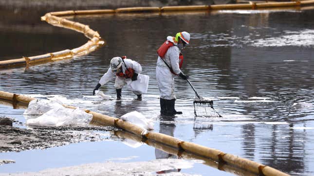 Workers in protective suits clean oil in the Talbert Marsh wetlands after a 126,000-gallon oil spill from an offshore oil platform in 2021 in Huntington Beach, California