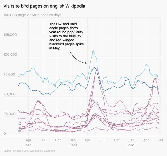 A chart showing interest in birding over time via Wikipedia searches. Interest soared during the pandemic, and is still above pre-pandemic levels now.