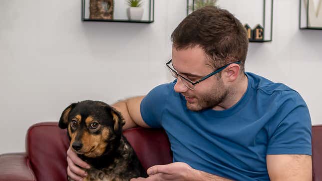 Image for article titled Dog Urged To Pay Attention While Dog On TV