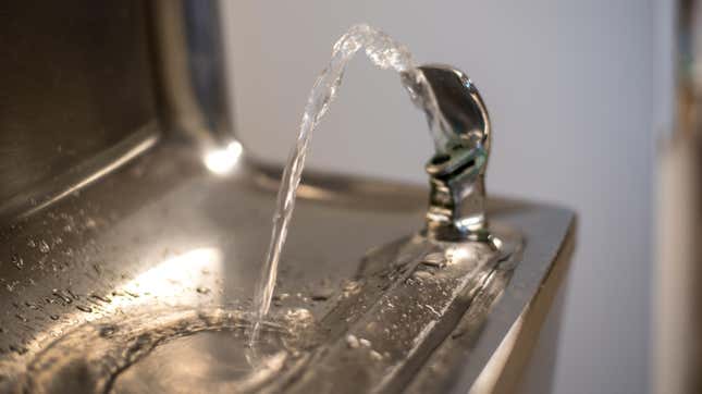 Image for article titled North Carolina Principal Apologizes for ‘White’ Sign Pictured Over School Drinking Fountain