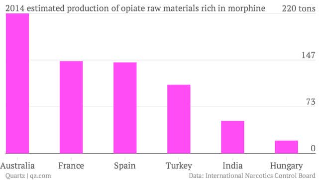Image for article titled Is the global craving for painkillers outstripping Tasmania’s poppy supply?