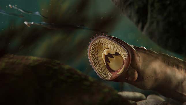 An illustration of an ancient lamprey's mouth configuration.