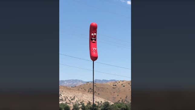 a screenshot from a tiktok video of a wienerschnitzel wiener antenna topper 