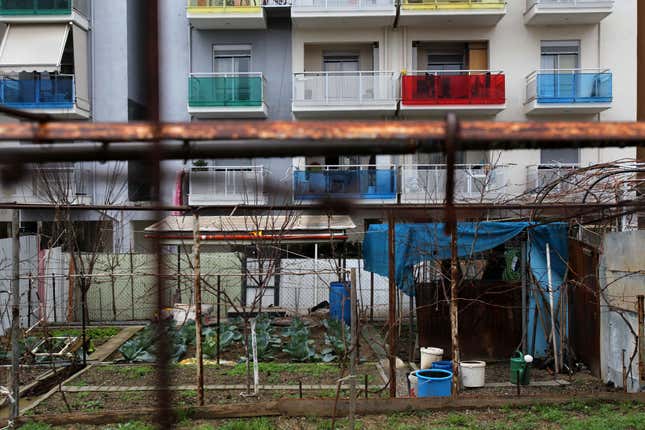 Vegetables are grown in plots next to low-rent housing in Menemeni near Thessaloniki, in northern Greece. Greeks are trying to save money by growing their own produce.