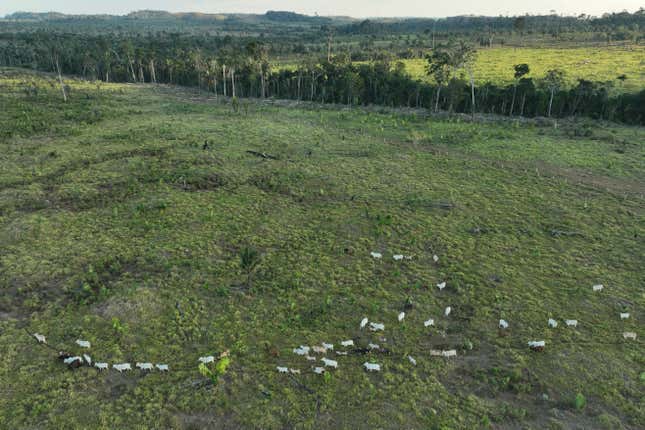 Visiting Rondônia in the Brazilian  region