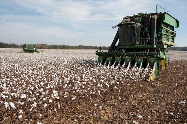 PhytoGen, Cotton Incorporated Team To Recycle Denim Into Insulation -  Cotton Farming