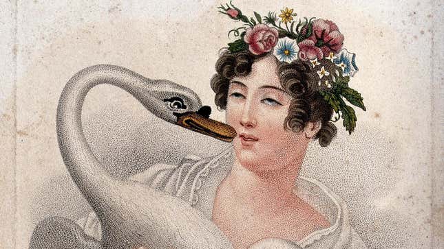 This Teen Girl Is Fine, But What of the Seagull?