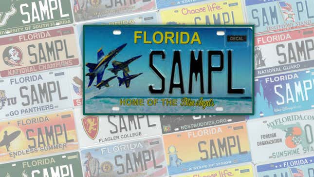 An image showing a personalised license plate design from Florida