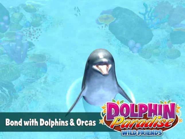 Dolphin Paradise: Wild Friends Screenshots and Videos - Kotaku