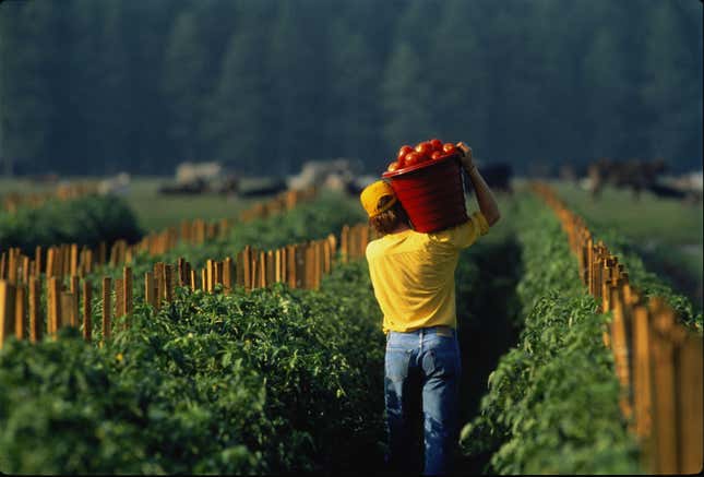 Farm worker