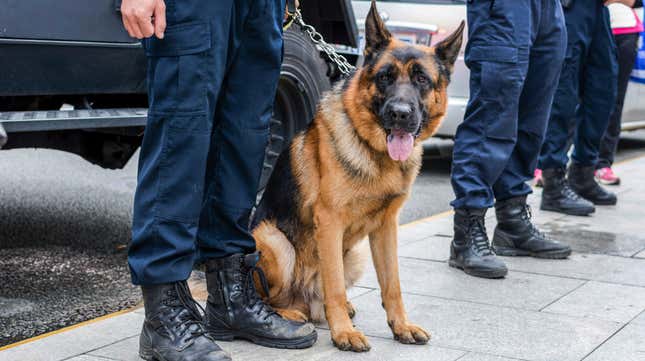 Image for article titled FBI Investigates Missouri Officers Following Video Of Police Dog Biting Black Man