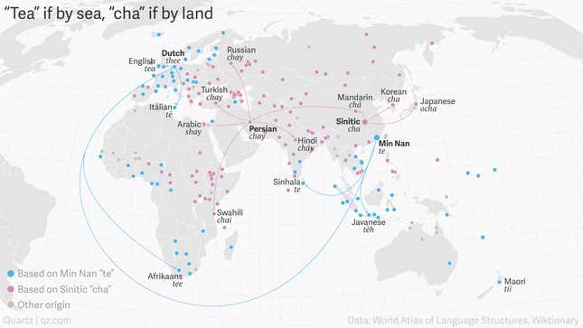 Image for article titled Tea if by sea, cha if by land: Why the world only has two words for tea