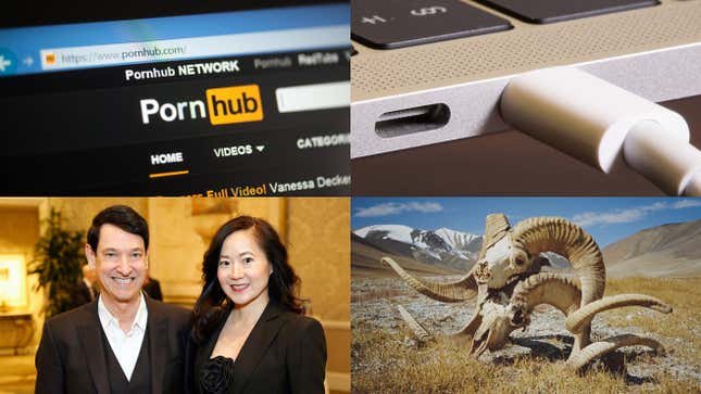 Image for article titled Pornhub Drops Texas, Time to Unplug Your Laptop, Bad Royal Photoshops, Franken-Sheep and More