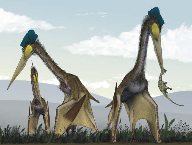 An illustration of towering pterosaurs Queztalcoatlus northrupi, which died out 66 million years ago.